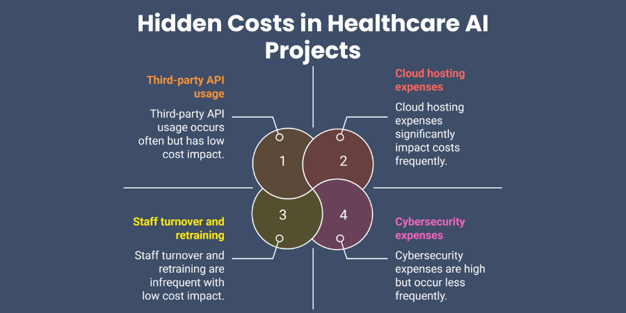 Hidden Costs in Healthcare AI Projects
