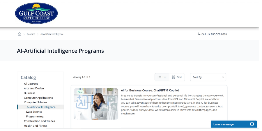 Gulf Coast AI Systems