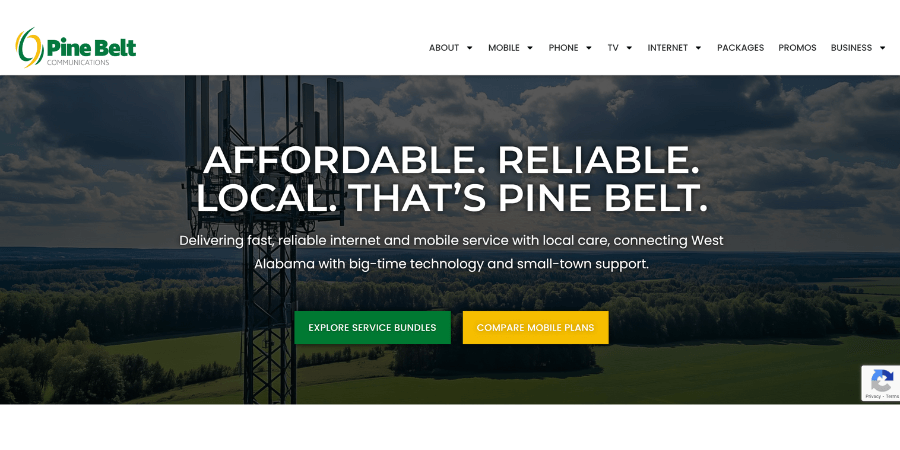 Pine Belt Technology Group