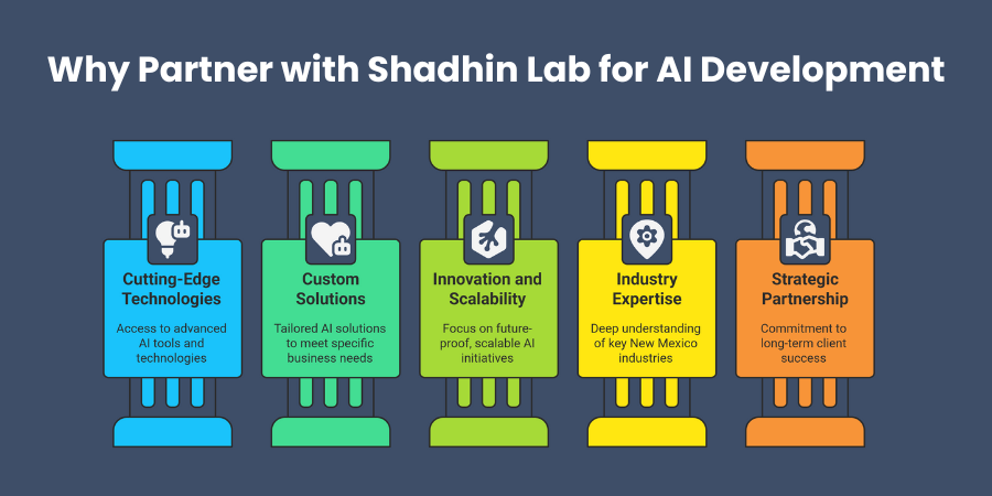 Why Partner with Shadhin Lab for AI Development